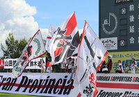 日本体育大よりFW平川が加入【岩手】