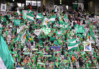 MF渋谷の完全移籍を発表【東京V】