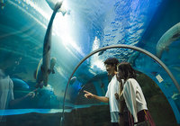 ヴィッセル神戸の西 大伍選手とCanCam it girlの今井 美桜さんが神戸デート!?(後編)