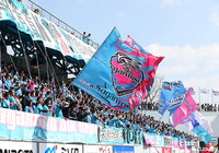 明治大DF森下と大阪体育大FW林の来季加入が内定【鳥栖】