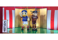 1/25（土）16:55～放送 日本テレビ「サッカー FUJI XEROX SUPER CUP 2020 応援 マスコット漫才」【放送告知】