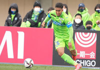 DF畑が全治7週間の負傷【湘南】