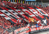 CSマリティモよりMFフランシス カンが完全移籍加入【札幌】