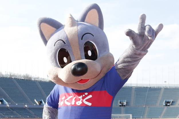【Ｊリーグ マスコット】ヴァンフォーレ甲府 ヴァンくん（１１／４０）