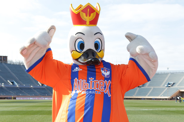 【Ｊリーグ マスコット】アルビレックス新潟 アルビくん（１３／４０）