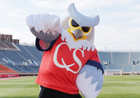 【Ｊリーグ マスコット】コンサドーレ札幌 ドーレくん（２０／４０）
