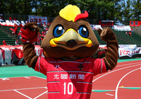 【Ｊリーグ マスコット】ツエーゲン金沢 ゲンゾー（２８／４０）