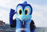 【Ｊリーグ マスコット】ジュビロ磐田 ジュビロくん（２９／４０）