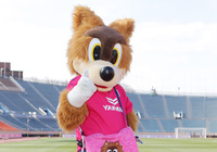 【Ｊリーグ マスコット】セレッソ大阪 ロビー（３２／４０）