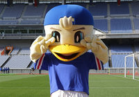 【ＦＸＳＣ２０１５　マスコットの活動】総選挙第9位のマリノスケ（横浜FM）（１０／１６）