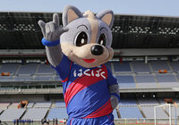 【ＦＸＳＣ２０１５　マスコットの活動】総選挙第8位のヴァンくん（甲府）（９／１６）