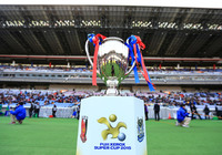 【ＦＸＳＣ２０１５ Ｇ大阪vs浦和】ピッチサイドに用意されたトロフィー（３０／３０）