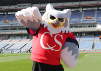 【ＦＸＳＣ２０１５　マスコットの活動】総選挙第2位のドーレくん（札幌）（３／１６）