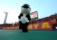 【明治安田Ｊ１ １ｓｔ 第6節 名古屋vs清水】ファン・サポーターと盛り上がるグランパスくん（7/13）