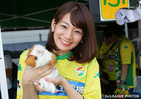 【明治安田Ｊ２ 第11節 千葉vs横浜FC】Ｊリーグ女子マネ佐藤 美希さんがフクダ電子アリーナに来場！（6/8）