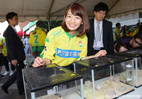 【明治安田Ｊ２ 第11節 千葉vs横浜FC】Ｊリーグ女子マネ佐藤 美希さんがフクダ電子アリーナに来場！（7/8）