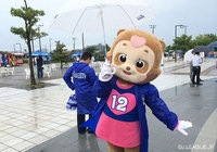 【明治安田Ｊ２ 第25節 徳島vs大分】傘を差す徳島のマスコット・ティスちゃん（1/4）