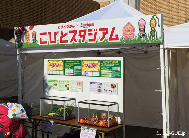 【明治安田Ｊ２ 第26節 金沢vs徳島】人気書籍シリーズ「こびとづかん」とのタイアップ企画「こびとスタジアム」がスタジアムで開催されている（1/4）