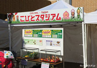 【明治安田Ｊ２ 第26節 金沢vs徳島】人気書籍シリーズ「こびとづかん」とのタイアップ企画「こびとスタジアム」がスタジアムで開催されている（1/4）