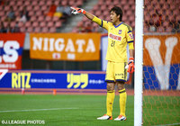 チームメイトに指示を送る守田　達弥（新潟）【ＹＮＣ 準決勝 第1戦 新潟vsＧ大阪】（9/15）