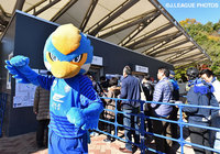 続々と来場するファン・サポーターを出迎えるゼルビー【Ｊ２・Ｊ３入れ替え戦 第1戦 町田vs大分】（1/15）