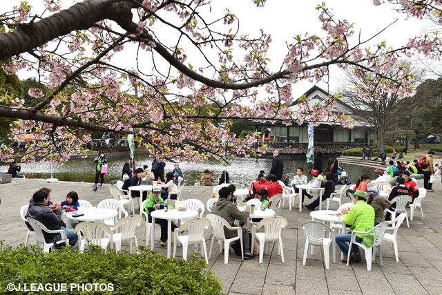 湘南の春、彩豊かな景色がアウェイチームを出迎える【明治安田Ｊ１ 第4節 湘南vs浦和】