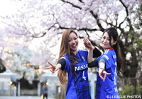 桜の下でポーズをバッチリ決める横浜FMの女子サポーター【ＹＮＣ GS 第3節 横浜FMvs柏】