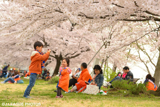 桜の季節、主役はスタジアム内外のあらゆる場所に【明治安田Ｊ１ 1st 第6節 新潟vs磐田】
