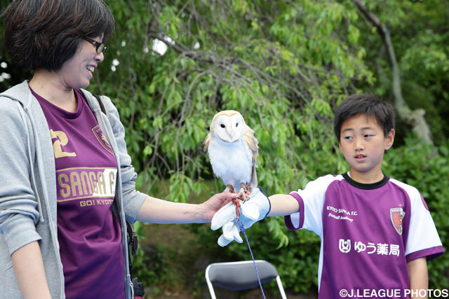 「おフクロウ、ありがとうコーナー」でフクロウを手渡しする京都ファンの少年【明治安田Ｊ２ 第12節 京都vs千葉】
