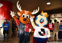 しかお君とＪリーグキングが強力タッグ！Ｊリーグ草創期からの古参メンバーです【明治安田Ｊ１ 1st 第12節 鹿島vs横浜FM】