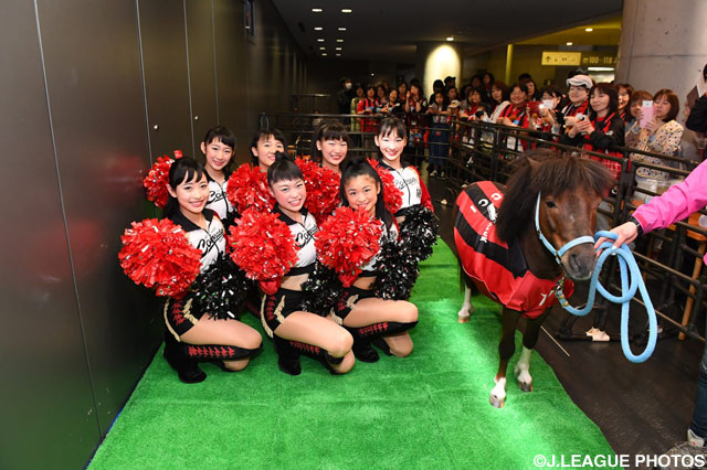 背番号77、FWチッチとコンサドールズたち【明治安田Ｊ２ 第19節 札幌vs北九州】