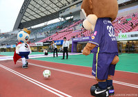 仲良しサンチェとボールで遊んでいるＪリーグキング！【明治安田Ｊ１ 2nd 第11節 広島vs大宮】