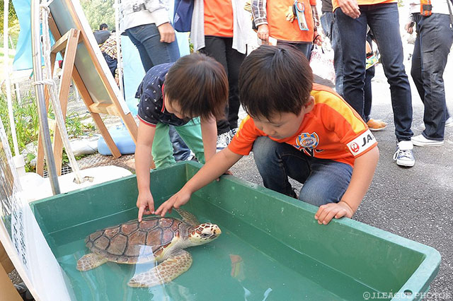 カメと遊ぶ清水ファンの子供たち。【明治安田Ｊ２ 第37節 清水vs北九州】