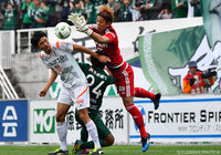 今季初出場ながらも力強くゴールマウスを守った白井 裕人（松本）【明治安田Ｊ２ 第37節 松本vs愛媛】