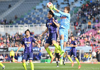 17本のシュートを浴びながらも失点1で抑え、敵地での勝点獲得に貢献したGK守田 達弥（新潟）【明治安田Ｊ１ 第1節 広島vs新潟】