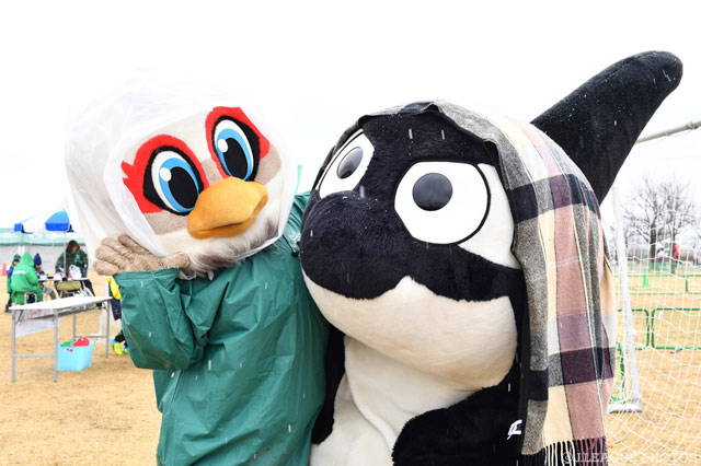 グランパスくんにマフラーをかけてあげるガンズくん【明治安田Ｊ２ 第5節 松本vs名古屋】