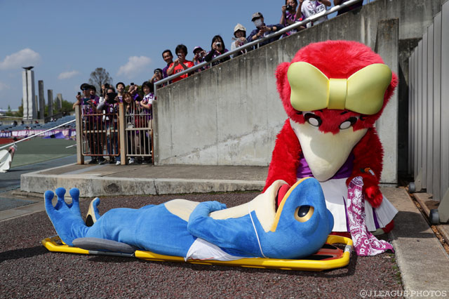 優しいコトノちゃん。担架で運ばれた一平くんを心配しています…【明治安田Ｊ２ 第8節 京都vs愛媛】