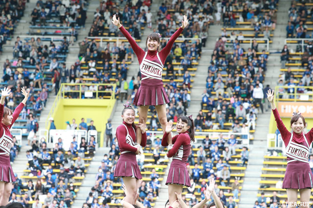 福岡大学のチアリーダーによる渾身のパフォーマンス！【明治安田Ｊ２ 第38節 福岡vs千葉】