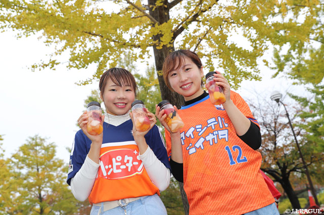 勝利で飾ってハッピーターンしちゃう!?【明治安田Ｊ１ 第31節 新潟vs鳥栖】