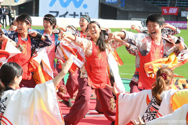 肥後真狗舞の皆さんによる華麗なYOSAKOIパフォーマンス！【明治安田Ｊ２ 第41節 熊本vs金沢】