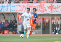 原 輝綺（新潟）のマークを受けながらパスコースを探す杉本 太郎（徳島）【明治安田Ｊ２ 第6節 新潟vs徳島】