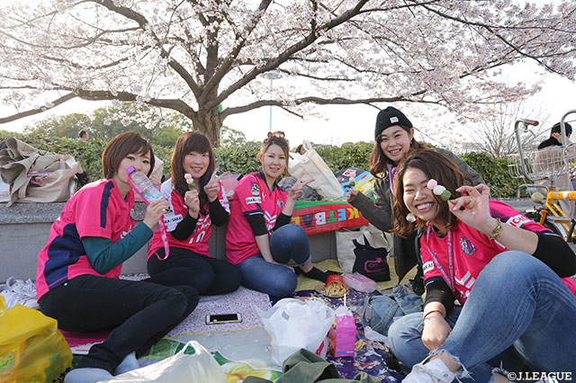 待ちに待ったこのシーズン！勝利の桜を咲かせてね【明治安田Ｊ１ 第5節 Ｃ大阪vs湘南】