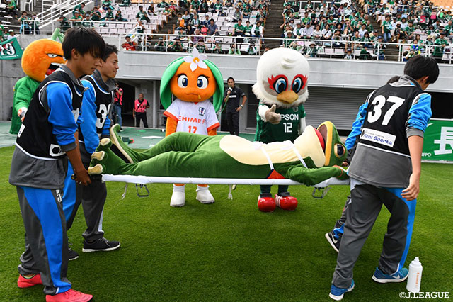 担架で運ばれる一平くんを見つめるガンズくん【明治安田Ｊ２ 第36節 松本vs愛媛】