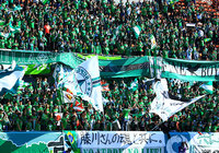 対する東京Ｖのサポーターも多くの方が駆けつけています！【Ｊ１参入プレーオフ 1回戦 大宮vs東京Ｖ】