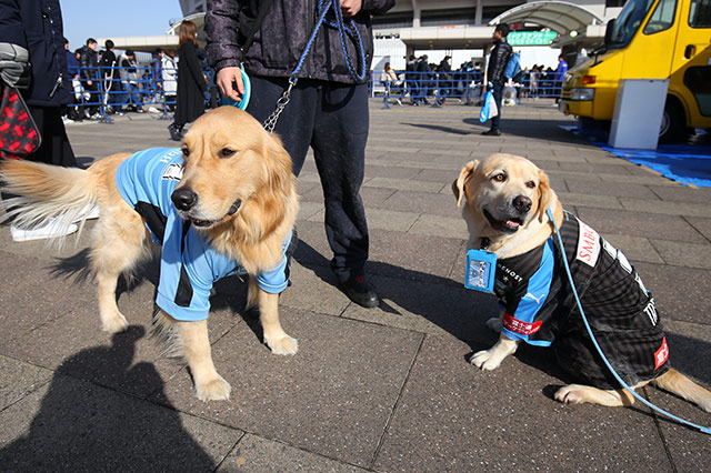 僕たちも応援するぞ！！【FUJI XEROX SUPER CUP 2019】