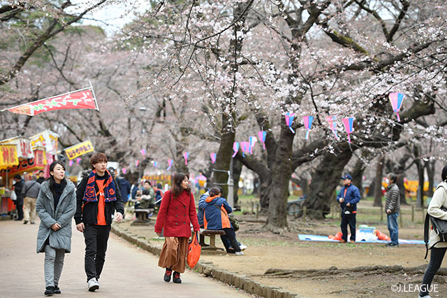 桜も咲いて、絶好の観戦日和♪【明治安田Ｊ２ 第5節 大宮vs水戸】