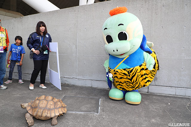 ニータンと亀【明治安田Ｊ１ 第5節 大分vs広島】