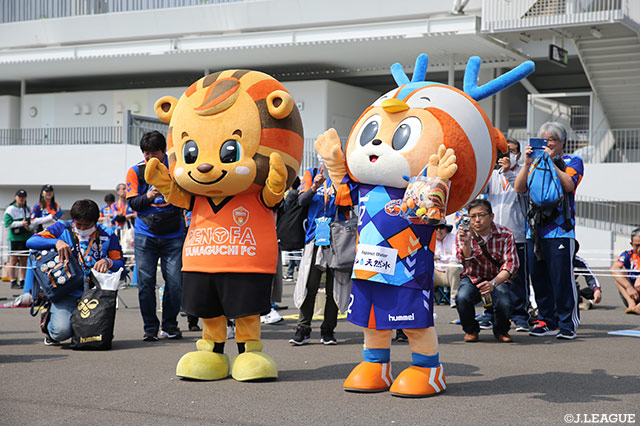 ヴィヴィくんとレノ丸が仲良く登場♪【明治安田Ｊ２ 第8節 長崎vs山口】