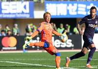 ファインセーブをみせるなど、広島に最後まで得点を許さなかった富居 大樹（湘南）【明治安田Ｊ１ 第33節 湘南vs広島】