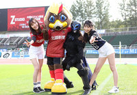 【明治安田Ｊ２ 第32節 金沢vs水戸】